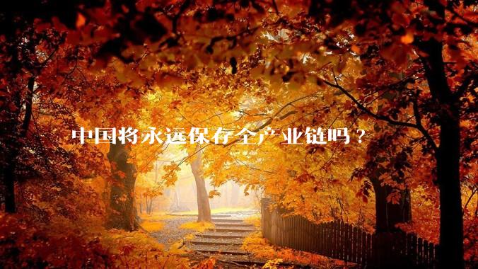 中国将永远保存全产业链吗?