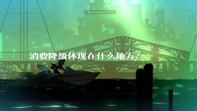 消费降级体现在什么地方？
