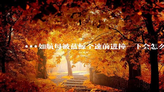 ***如航母被蓝鲸全速前进撞一下会怎么样？