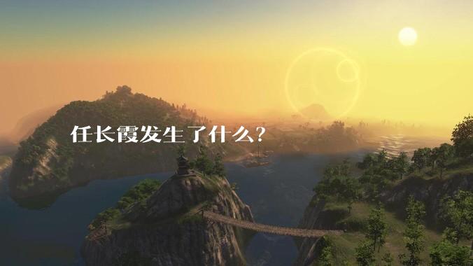 任长霞发生了什么？