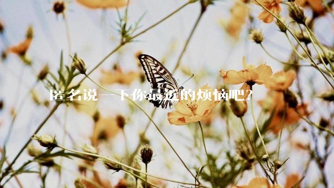匿名说一下你最近的烦恼吧？