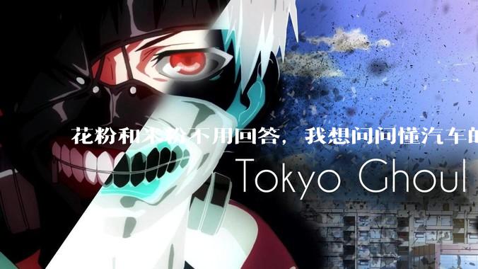 花粉和米粉不用回答，我想问问懂汽车的大哥，小米汽车到底怎么样啊？