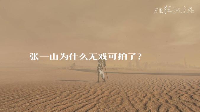 张一山为什么无戏可拍了？