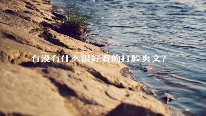 有没有什么很好看的打脸爽文？