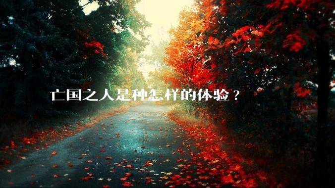 亡国之人是种怎样的体验?