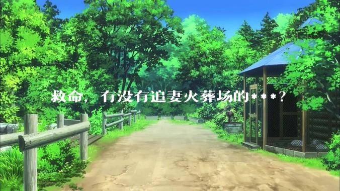 救命，有没有追妻火葬场的***？