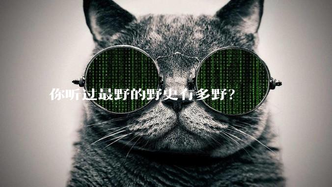 你听过最野的野史有多野？