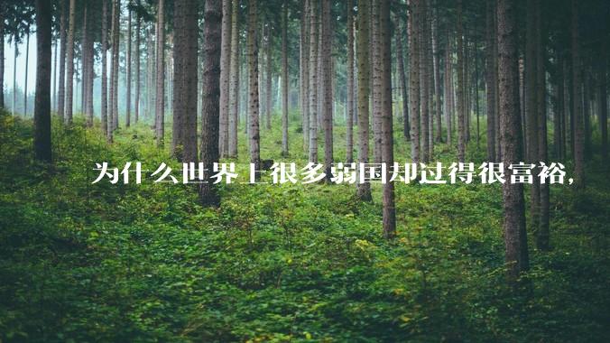 为什么世界上很多弱国却过得很富裕，“落后就要挨打”是不是一个伪命题？