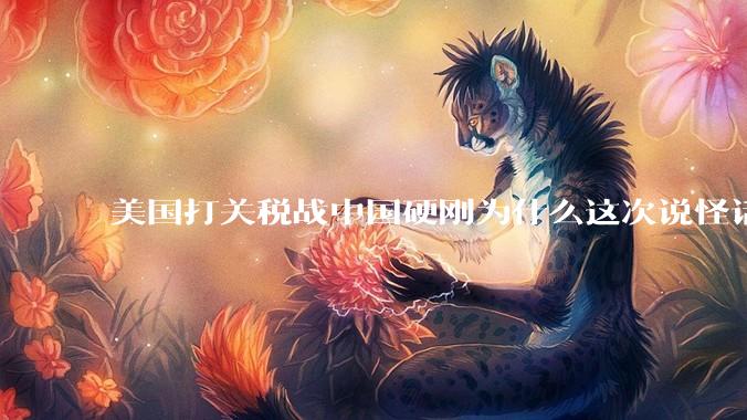 美国打关税战中国硬刚为什么这次说怪话的人少了？连公知大V也不例外？