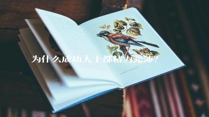 为什么成功人士都精力充沛？