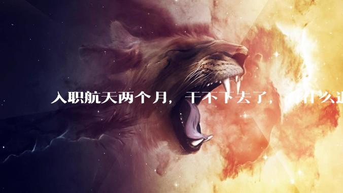 入职航天两个月，干不下去了，有什么退路吗?