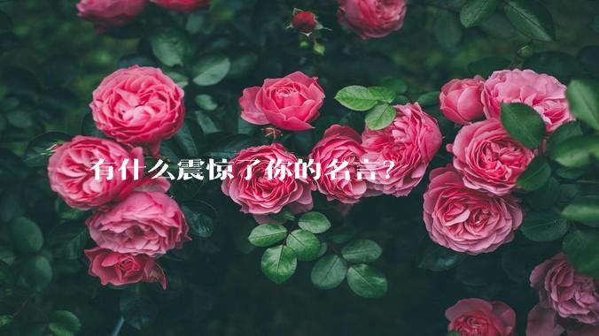 有什么震惊了你的名言？