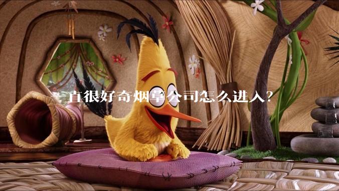 一直很好奇烟草公司怎么进入？