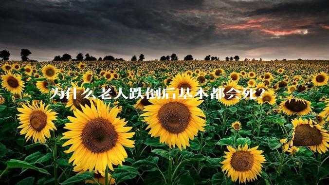为什么老人跌倒后基本都会死？