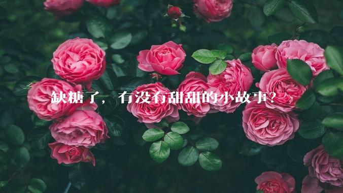 缺糖了，有没有甜甜的小故事？