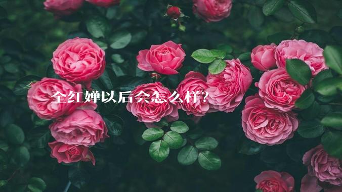 全红婵以后会怎么样？
