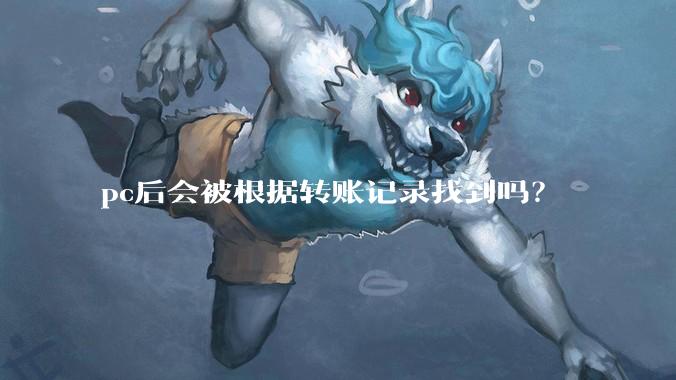 pc后会被根据转账记录找到吗？