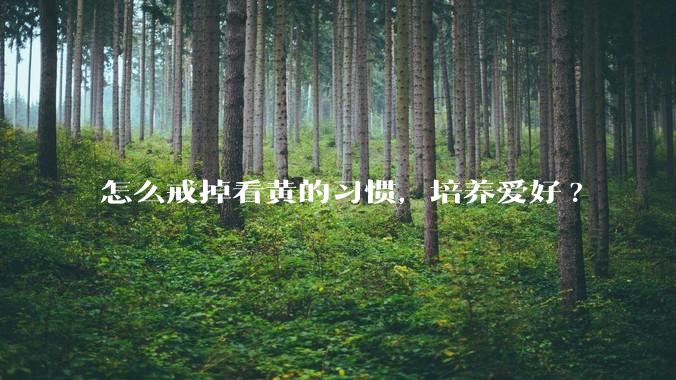 怎么戒掉看黄的习惯，培养爱好?