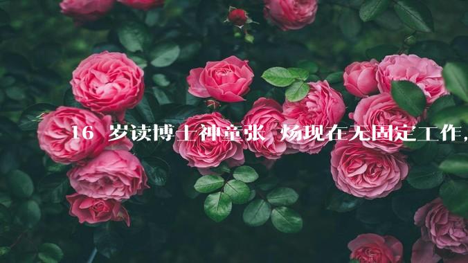 16 岁读博士神童张炘炀现在无固定工作，卡里就剩几千块，父母每两三个月打来 1 万，如何评价其现状？