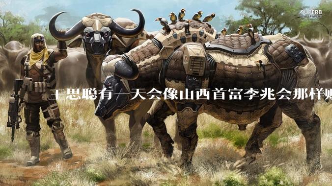 王思聪有一天会像山西首富李兆会那样败光家产吗？